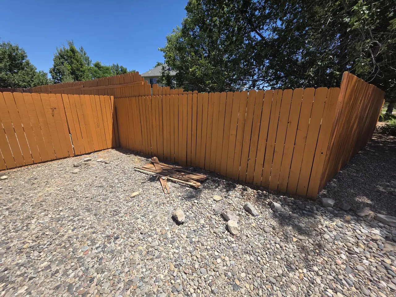 After: backyard fence evenly stained in a warm cedar tone