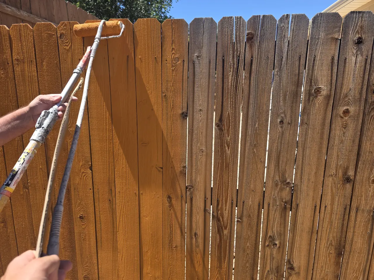 Stain being rolled onto weathered fence pickets, showing the before and after line